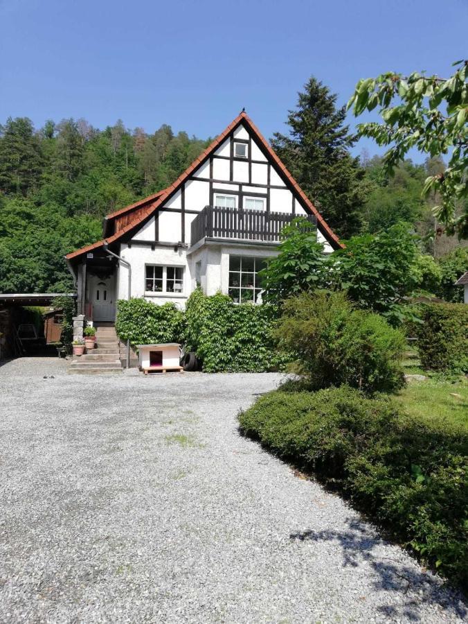 Ferienwohnung Natur Pur Muehlental Wernigerode Bagian luar foto
