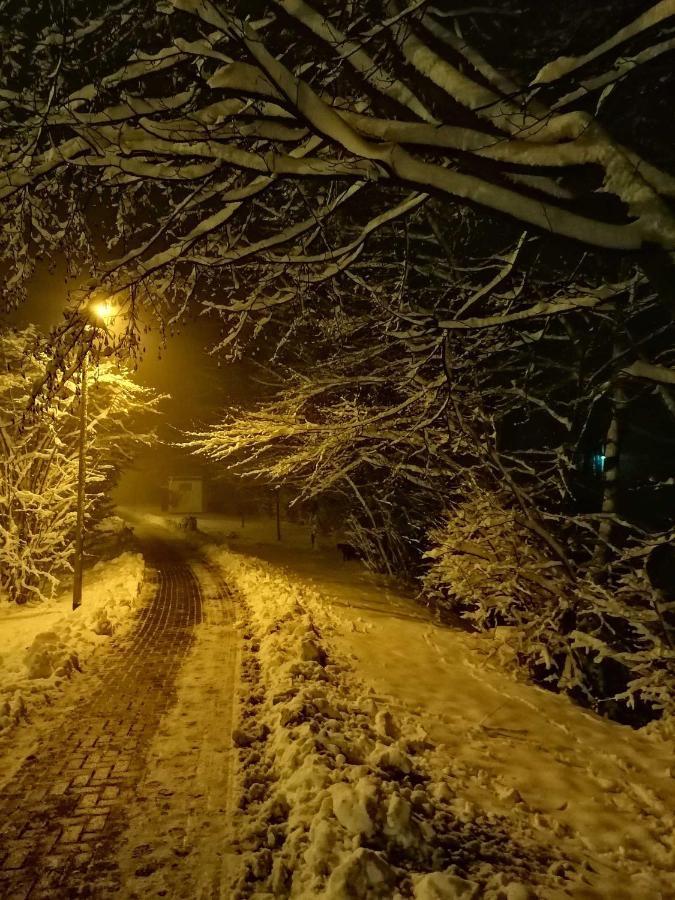 Ferienwohnung Natur Pur Muehlental Wernigerode Bagian luar foto