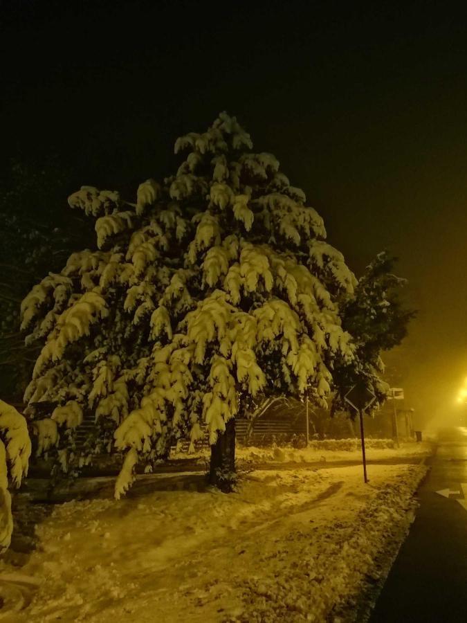 Ferienwohnung Natur Pur Muehlental Wernigerode Bagian luar foto